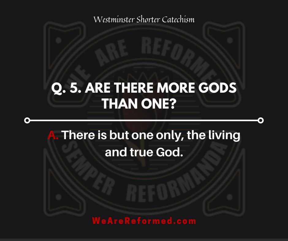westminster shorter catechism q5