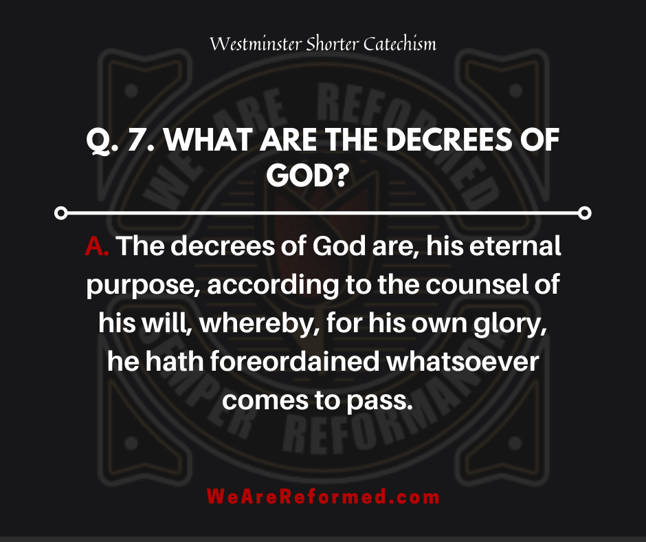westminster shorter catechism q7