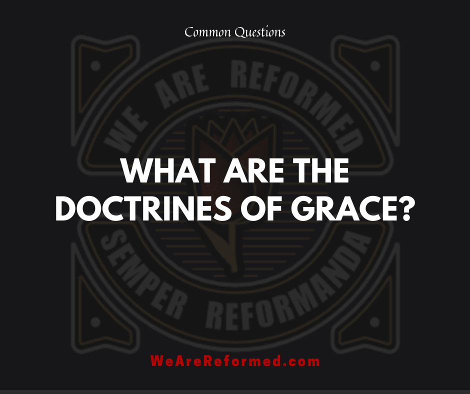 what are the doctrines of grace